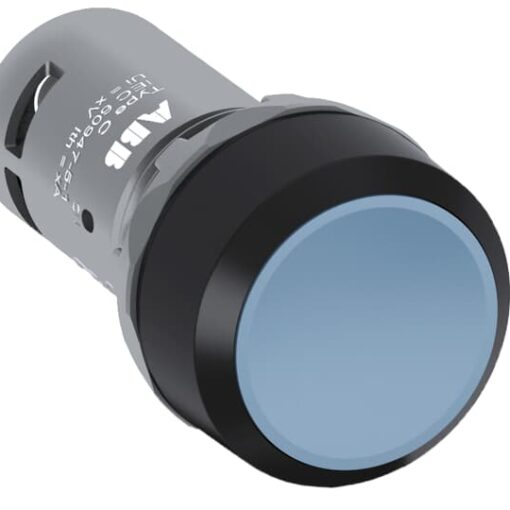 PUSHBUTTON#CP1-10L-01